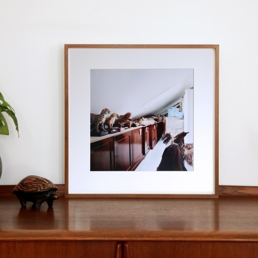 Candida Höfer, Museum für Naturkunde und Vorgeschichte Oldenburg VI