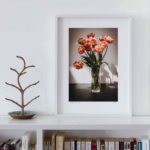 Huma Rosentalski, Tulpen