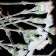 Achim Riethmann, artflash