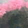 Götz Diergarten, artflash