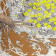 Sigmar Polke, Spargeld, artflash